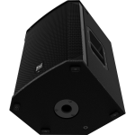 EKX-12 12-Inch Two Way Passive Loudspeaker
