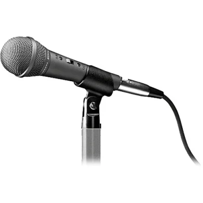 mic-800x800